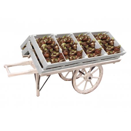 Torikärryt kauppaan ja messuille