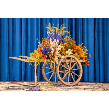 Vanhat kärryt, kaupustelijan kärryt